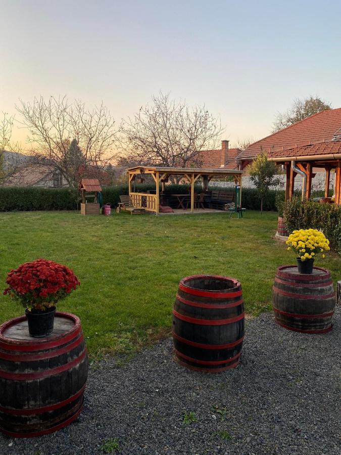 Hotel Zimmer Feri Vendégház Abaújszántó Exterior foto